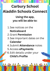 Aladdin Schools Connect